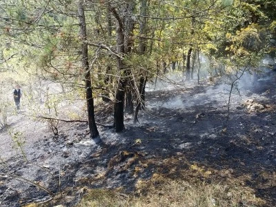 Kastamonu Azdavay’da Orman Yangını Hızlı Müdahale ile Büyümeden Söndürüldü