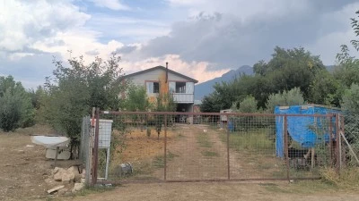 Katil koca bir aileyi yok etti