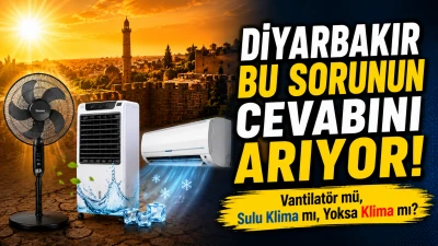 Kavurucu Sıcaklarda Serinleme Arayışı