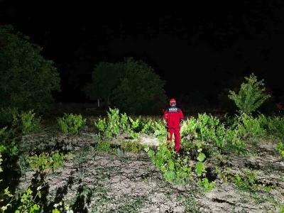 82 yaşındaki şahsı arama &ccedil;alışmaları s&uuml;r&uuml;yor