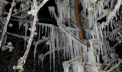 O ilimizin ilçelerini don vurdu