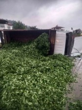 Kaza sonrası yola saçılan kamyon kasasındaki 10 ton çayı böyle temizlediler