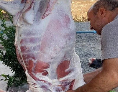 Kazan ateşinden derin dondurucuya