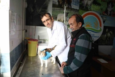 Kedi ve k&ouml;peklere mikro&ccedil;ip uyarısı: 31 Aralık son g&uuml;n