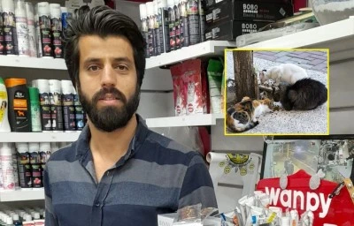 Kedilere sakın bunları yedirmeyin sonu ölümcül olabilir