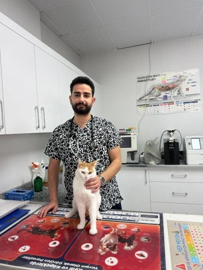 Kediniz Fazla T&uuml;y M&uuml; D&ouml;k&uuml;yor? Her D&ouml;k&uuml;lme Masum Değil