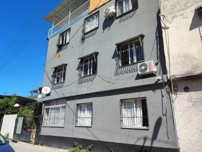 Kediyi çalıp fotoğraf çekindiler