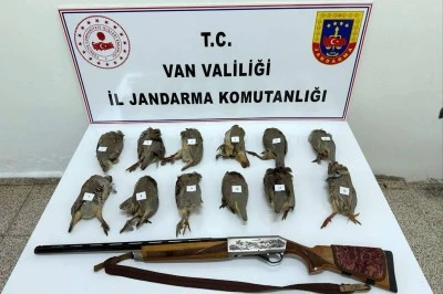 Keklik avında ceza yağdı 