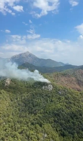 Kemer&rsquo;de orman yangını