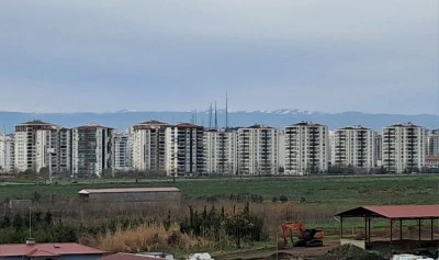 Kenger Yakında Pazar Tezgahlarında Yerini Alıyor