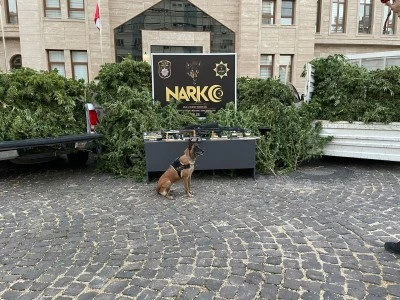 Kilis’te Uyuşturucu Operasyonu