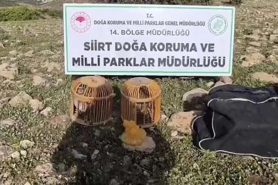 Kınalı keklik avlayan şahsa 63 bin lira ceza