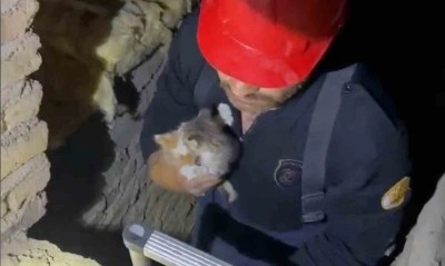 Kırıkkale’de havalandırma boşluğuna düşen yavru kediler kurtarıldı