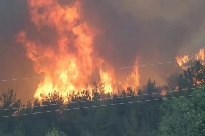 Kocaeli, Bartın ve Bursa’da Orman Yangınları: Ekipler Havadan ve Karadan Seferber Oldu
