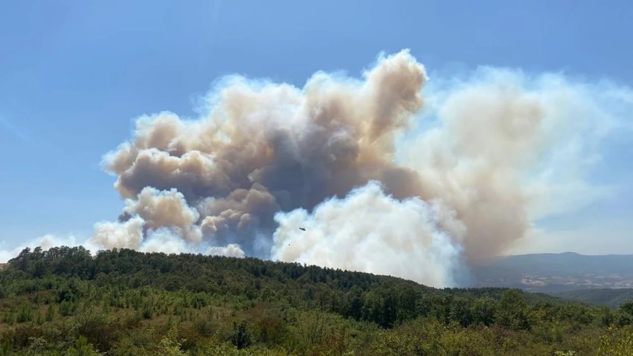 Kocaeli Derince'de Orman Yangını: Alevler Evleri Tehdit Ediyor
