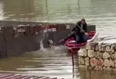 Kocak&ouml;y&rsquo;de Sel Sularına Kapılan K&ouml;pek Vatandaşlar Tarafından Kurtarıldı