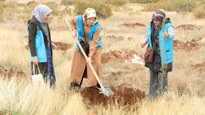 Kocaköy’de TDV’den Anlamlı Proje: “Hatıra Ormanı” Kuruldu