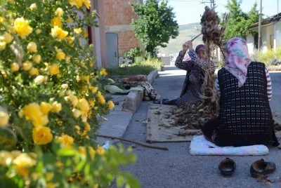 Kolları sağlık için sıvandılar