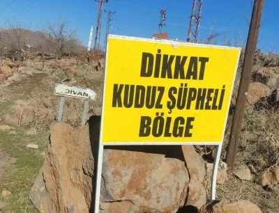 Komşu ilimizde Kuduz Vakası: Bölge Karantinaya Alındı