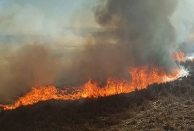 Konya Beyşehir’de İki Ayrı Sazlık Alanda Yangın: Ekipler Müdahale Etti