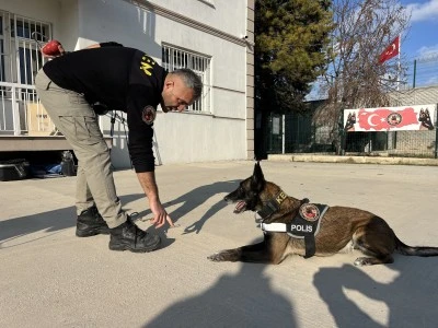 Konya'da Narkotik Mücadeleye &quot;Hassas Burunlu Köpekler&quot; Büyük Katkı Sağlıyor