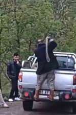 Köpeğe halatla şiddet uygulayan şahıs gözaltına alındı