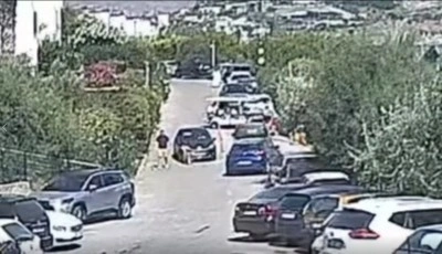 Aracın Altında Kalan “Çinko” Hayatını Kaybetti