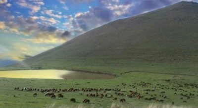 K&ouml;y muhtarının merayı kiraya vermesiyle ilgili soruşturma başlatıldı