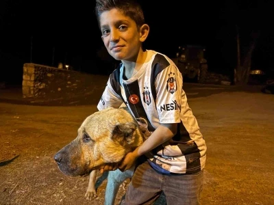 10 Yaşındaki Sencar&rsquo;ın imdadına &ccedil;oban k&ouml;peği Kral yetişti
