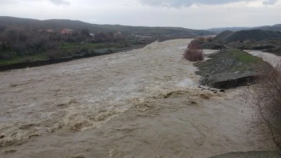 Kulp &Ccedil;ayı coştu