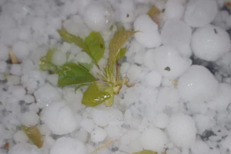 Kulp’ta Ceviz Büyüklüğünde Dolu Yağdı