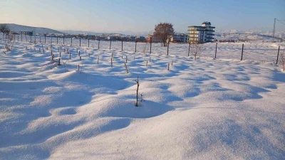Kulp&rsquo;ta kar yağışı &ccedil;ift&ccedil;iye umut oldu