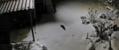 Diyarbakır'da Yoğun Kar Yağışı Kaya Sansarını Yerleşim Alanına İndirdi