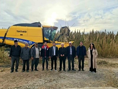 Kulu&rsquo;da end&uuml;striyel kenevirin hasadı başladı