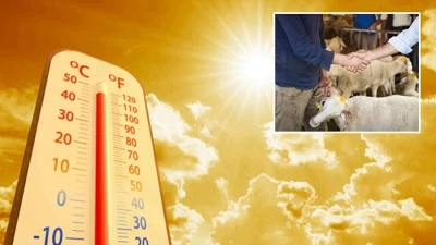 Kurban Bayramı’nda Diyarbakır’da hava nasıl olacak