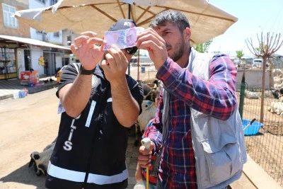 Kurban Pazarlarında Sahte Para Alarmı