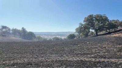 Kütahya’daki orman yangını kontrol altına alındı