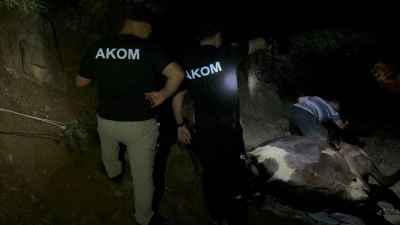 Kuyuda bulunan kayıp inek saatler süren çalışmayla kurtarıldı