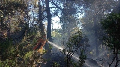 Lapseki'de Orman Yangını Kontrol Altına Alındı