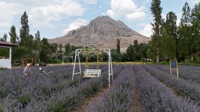 Lavanta bahçesinde kartpostallık görüntü