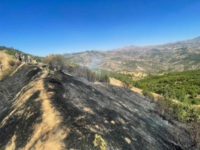 Lice’de 3 Farklı Noktada Orman Yangını