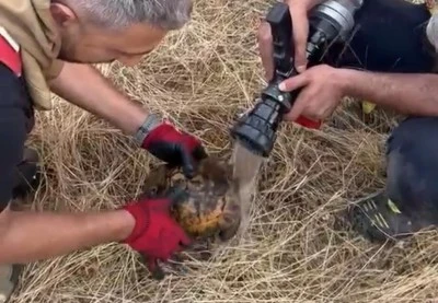 Lice'de Alevlerin Ortasında Yaşam M&uuml;cadelesi