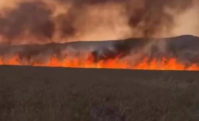 Lice’de tonlarca buğday küle döndü