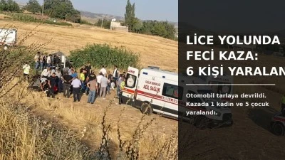 Lice Fis ovasında feci kaza: 6 kişi yaralandı