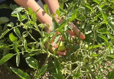 Manisa’da geri dönüşümle doğal yaşam sınıfı kuruldu