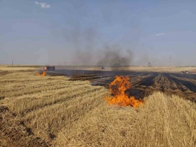 Mardin’de çıkan anız ve orman yangınları söndürüldü