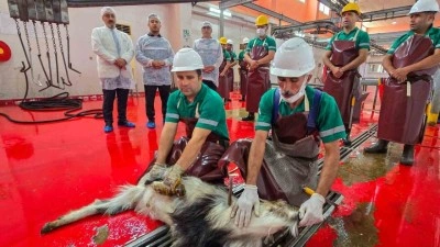 Mersin’de şehitlerin anısına kurban kesildi