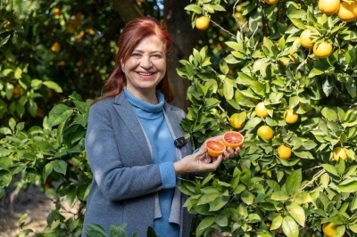 Kan portakalında hedef AB tescili