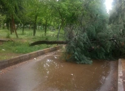 Meteorolojiden Diyarbakır dahil 4 il için kuvvetli yağış ve fırtına uyarısı 