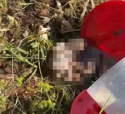 Mezarlıkta Dehşete d&uuml;ş&uuml;ren olay
